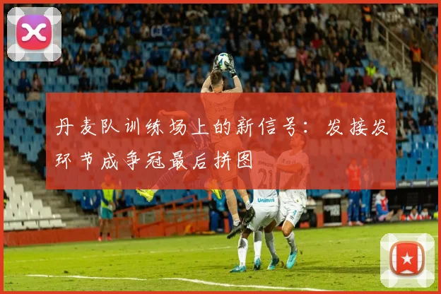 丹麦队训练场上的新信号：发接发环节成争冠最后拼图