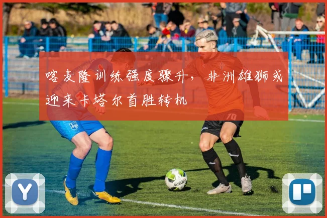 喀麦隆训练强度骤升，非洲雄狮或迎来卡塔尔首胜转机