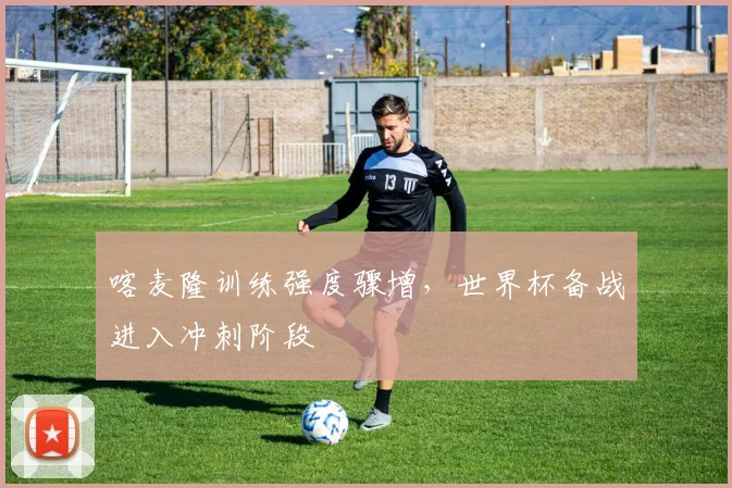 喀麦隆训练强度骤增，世界杯备战进入冲刺阶段